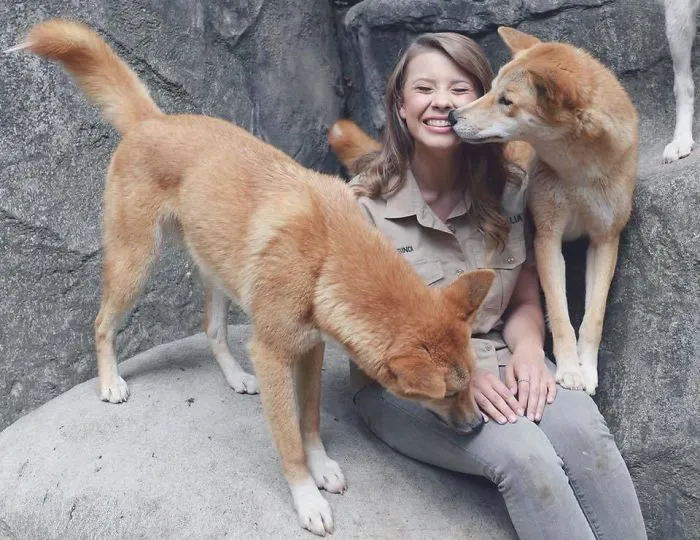 Kenalan sama Bindi Irwin, Yuk! Gadis Cantik Asal Australia yang Akrab Banget dengan Binatang Buas 32