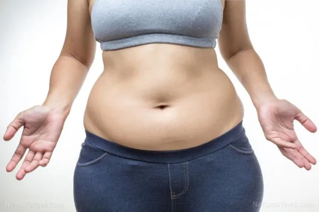 6 Jenis Perut Buncit dan Cara Mengempiskannya. Jauh-jauh dari Penyakit! 11 jenis perut buncit