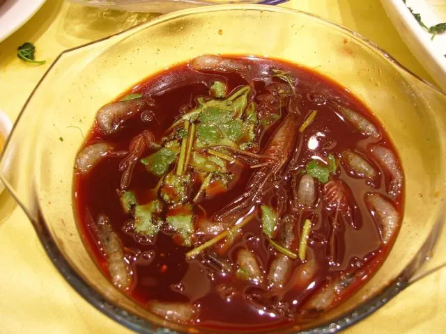 8 Hewan yang Emang Sering Dimakan Hidup-hidup di Seluruh Dunia. Semut Pun Dibuat Jadi Salad! 12