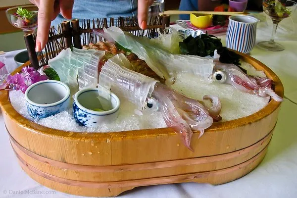 8 Hewan yang Emang Sering Dimakan Hidup-hidup di Seluruh Dunia. Semut Pun Dibuat Jadi Salad! 10