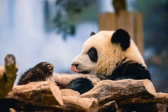 Deretan Tempat Anti-mainstream di Macao yang Belum Banyak Terekspos. Bikin Makin Penasaran! 20