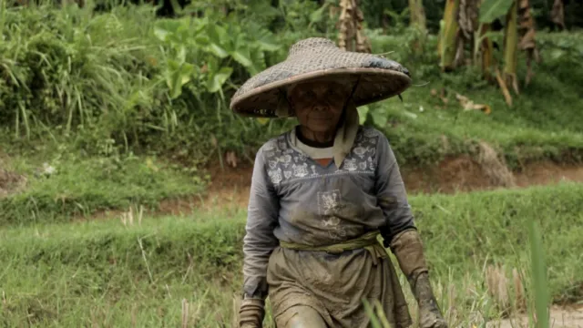 Kenal Lebih Dekat dengan Muniroh, Remaja Asal Banten yang Gigih Ingin Menjadi Guru 6