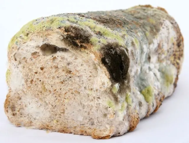10 Fakta Penting Klip Kemasan Roti Tawar yang Sering Terabaikan, Kecil tapi Besar Perannya 11