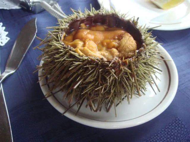 8 Hewan yang Emang Sering Dimakan Hidup-hidup di Seluruh Dunia. Semut Pun Dibuat Jadi Salad! 14