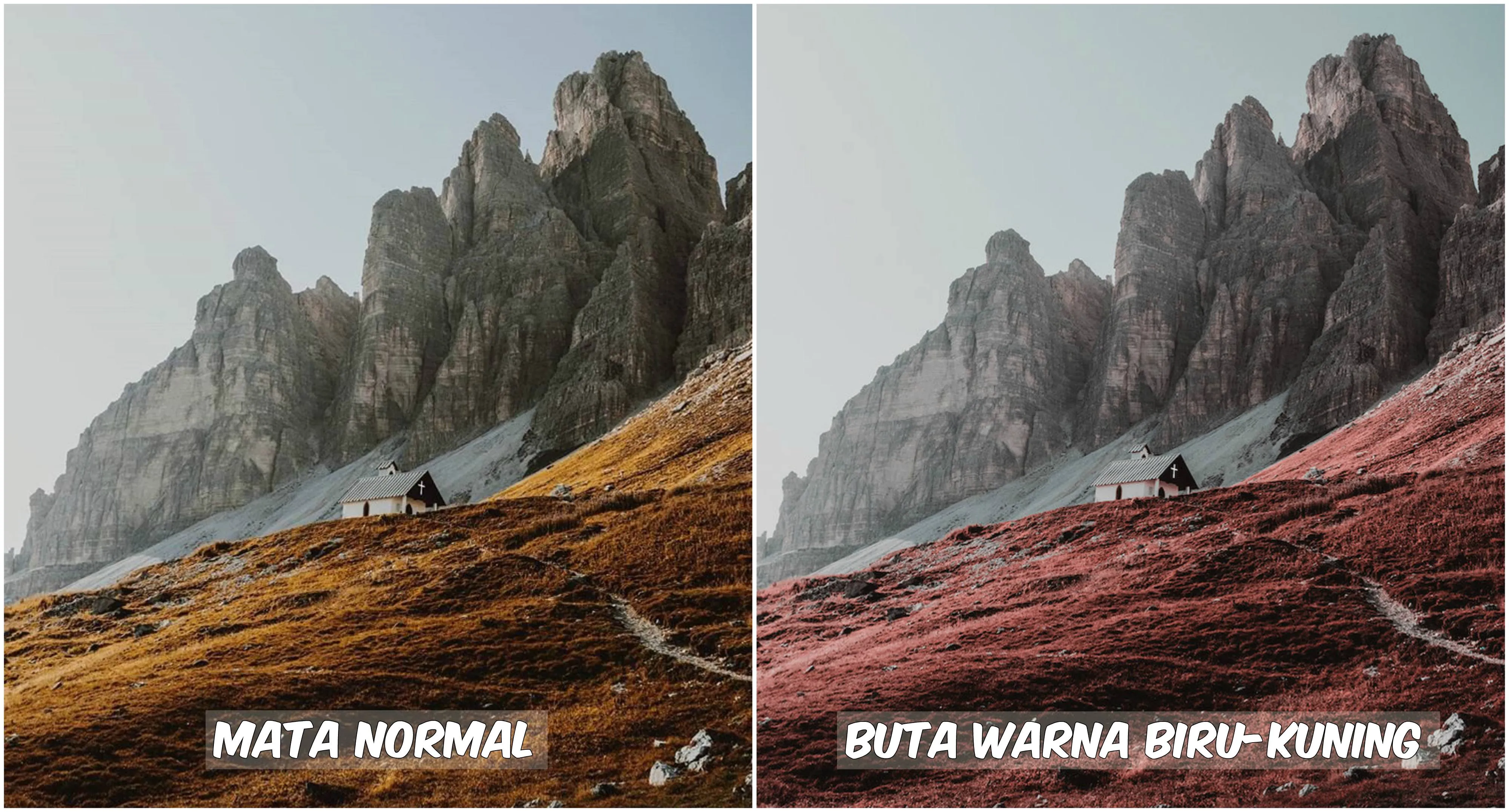 Begini Pemandangan yang Dilihat oleh Penderita Buta Warna. Fotografer Ini Menjelaskannya Lewat Foto 12