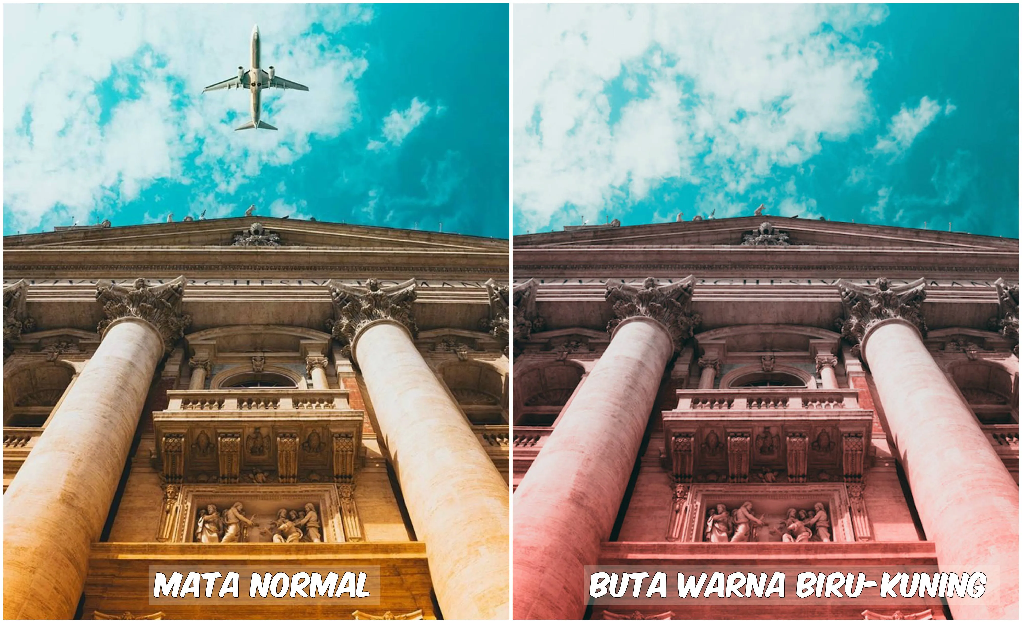 Begini Pemandangan yang Dilihat oleh Penderita Buta Warna. Fotografer Ini Menjelaskannya Lewat Foto 13