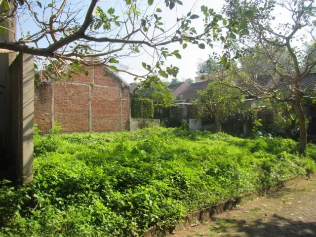 Sembari Nunggu Jodoh, Lebih Untung Investasi Tanah atau Beli Rumah Lewat KPR, Ya? 9