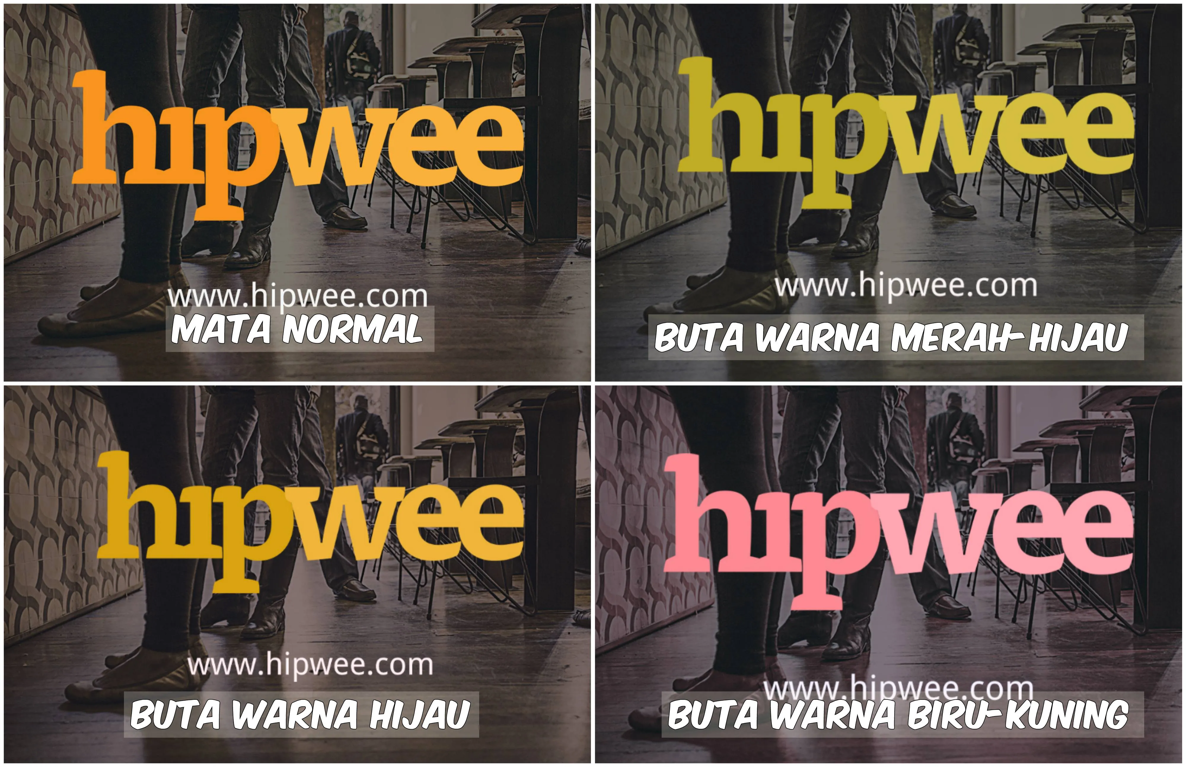 Begini Pemandangan yang Dilihat oleh Penderita Buta Warna. Fotografer Ini Menjelaskannya Lewat Foto 16