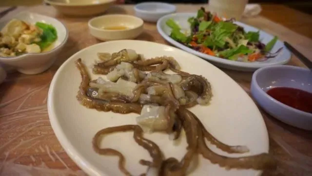 8 Hewan yang Emang Sering Dimakan Hidup-hidup di Seluruh Dunia. Semut Pun Dibuat Jadi Salad! 13