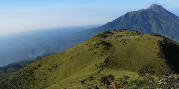 Pendaki Asal Selandia Baru Hilang di Gunung Merbabu. Sudah Dicari 4 Hari Belum Ketemu! 4