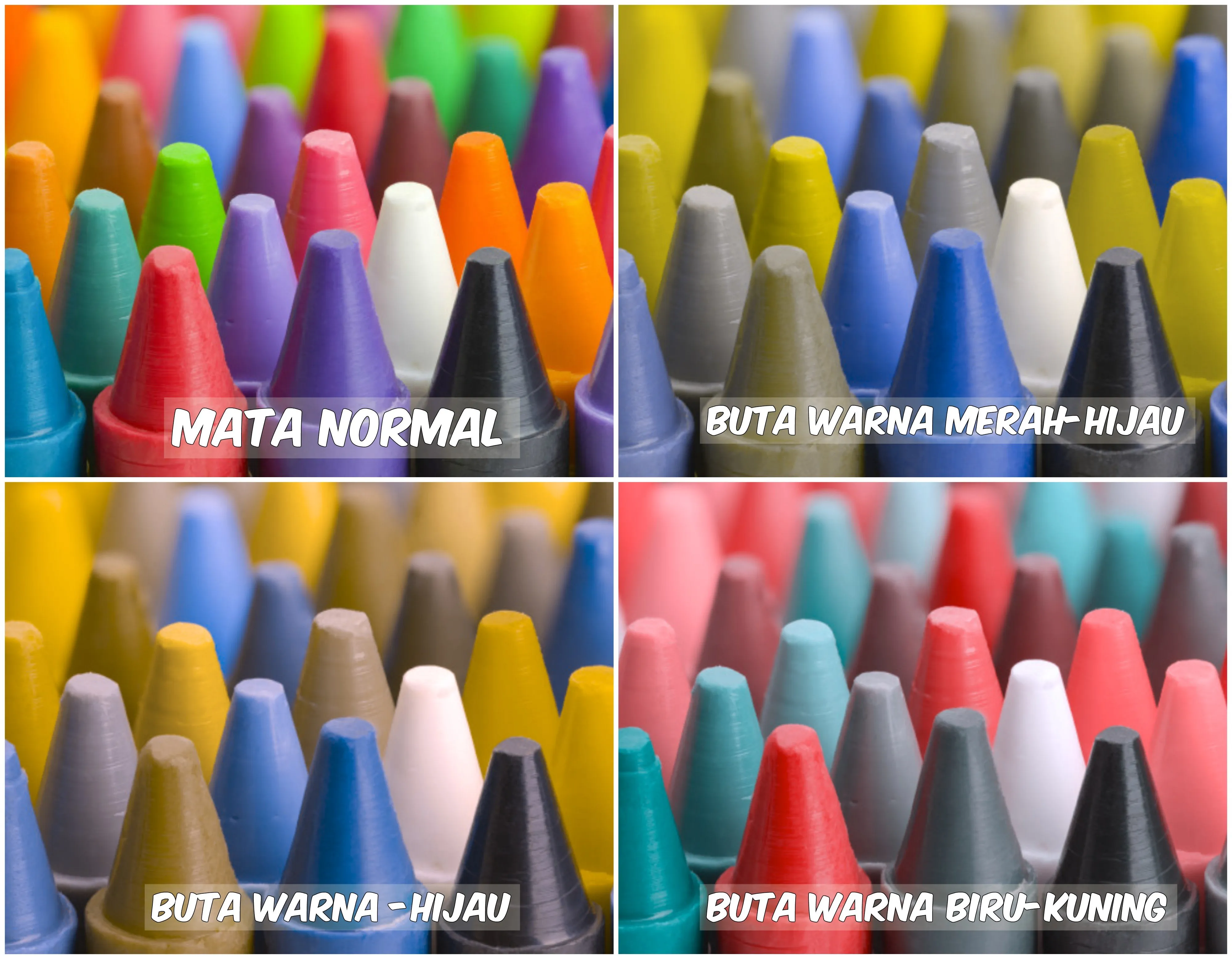 Begini Pemandangan yang Dilihat oleh Penderita Buta Warna. Fotografer Ini Menjelaskannya Lewat Foto 17