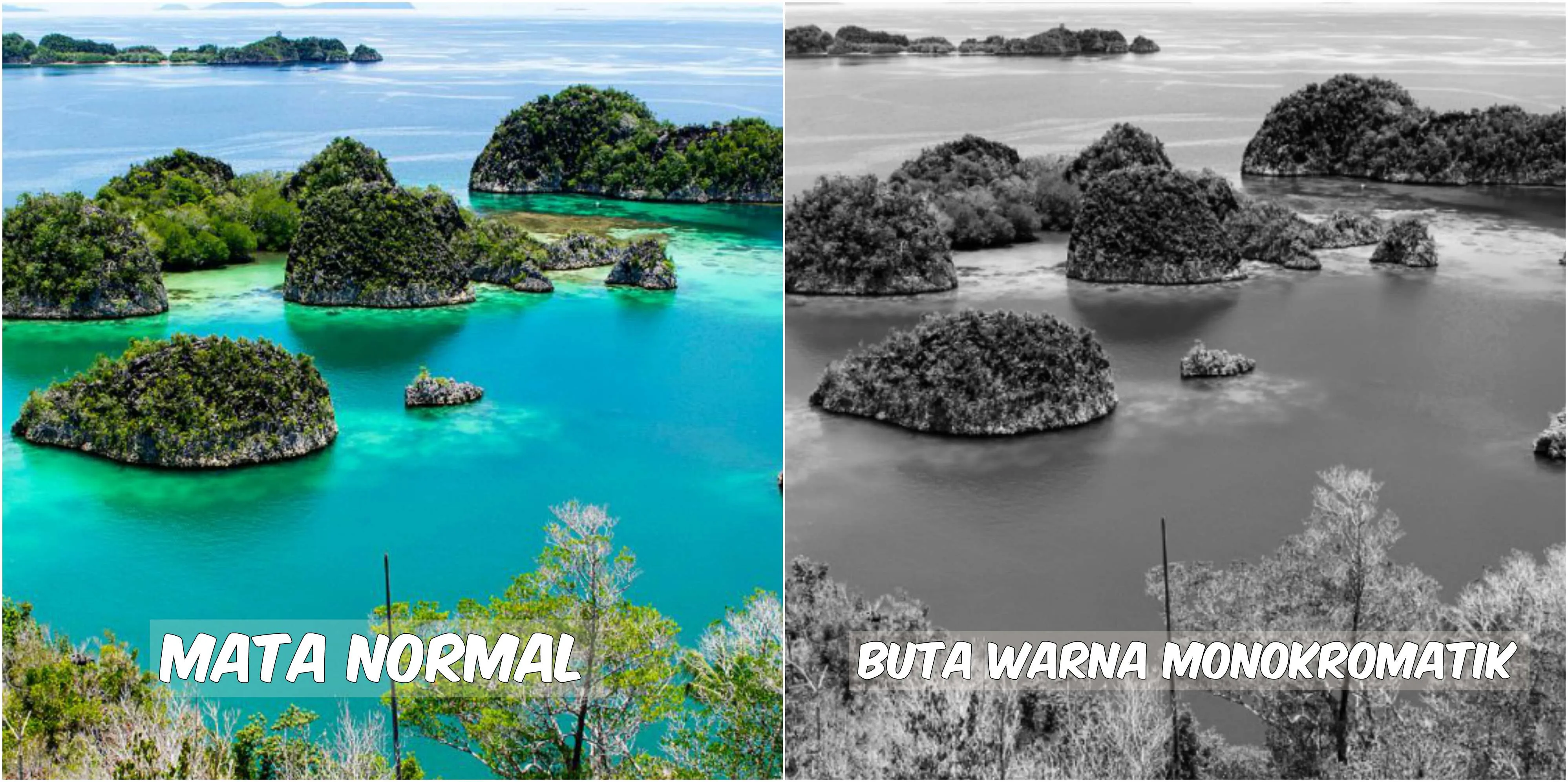 Begini Pemandangan yang Dilihat oleh Penderita Buta Warna. Fotografer Ini Menjelaskannya Lewat Foto 20