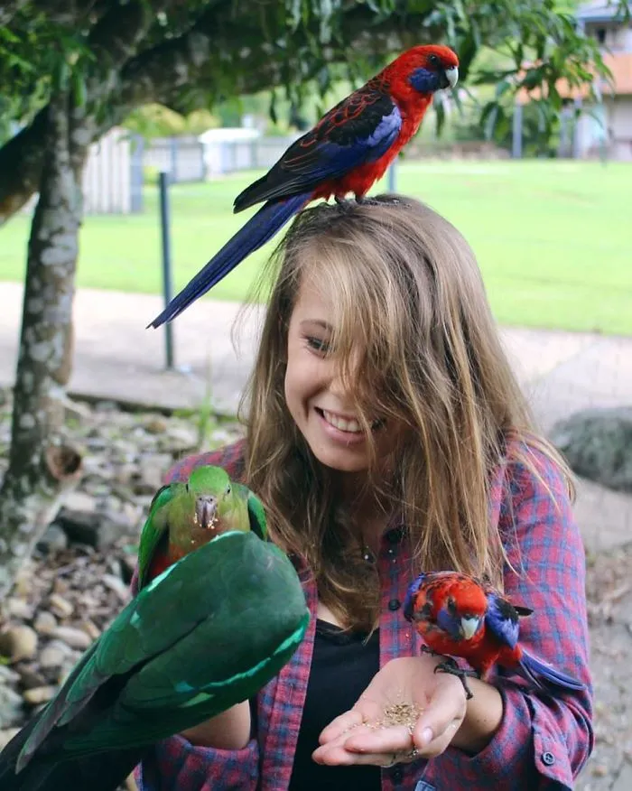 Kenalan sama Bindi Irwin, Yuk! Gadis Cantik Asal Australia yang Akrab Banget dengan Binatang Buas 34