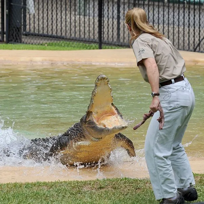Kenalan sama Bindi Irwin, Yuk! Gadis Cantik Asal Australia yang Akrab Banget dengan Binatang Buas 33