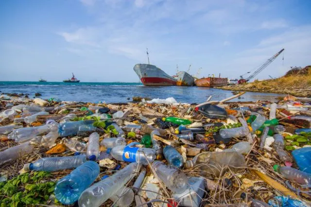 Fenomena Langka yang Luar Biasa, Pantai di AS Ini Menyala Biru Terang. Di Indonesia Juga Pernah Ada 24