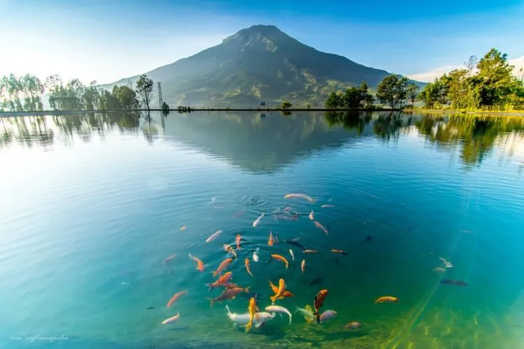 Embung Kledung Temanggung, Panorama Alam Pegunungan yang Bikin Serasa Liburan ke Luar Negeri! 6