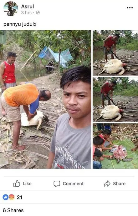 Seakan-akan Bangga Sudah Bantai dan Masak Penyu, Postingan Ini Bikin Warganet Geram Tak Habis Pikir 5