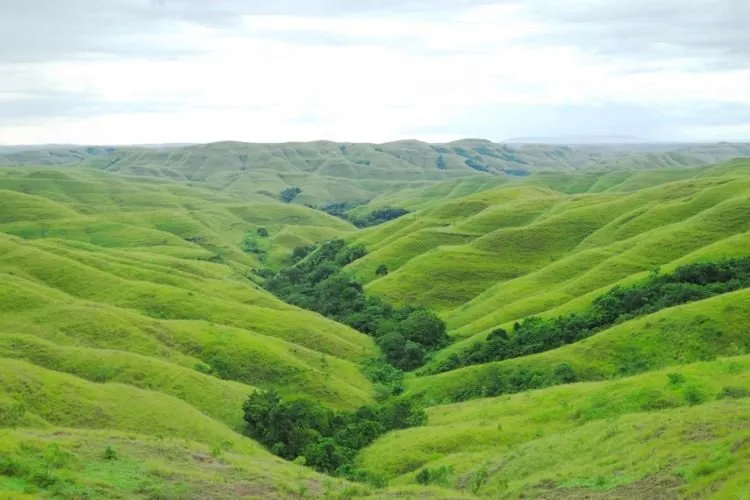 Menikmati Senja di Bukit Wairinding, Surga yang Tertinggal di Tanah Sumba yang Bikin Merinding! 5