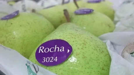 Stiker yang Nempel di Buah Impor Bukan Hiasan Doang. Biar Jadi Konsumen Pintar, Yuk Cari Tahu Artinya! 9