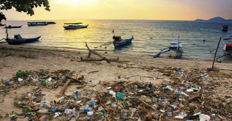 Dampak Turisme Massal di Pulau Komodo: Sampah yang Menumpuk dan Pergaulan Bebas ala Barat! 8