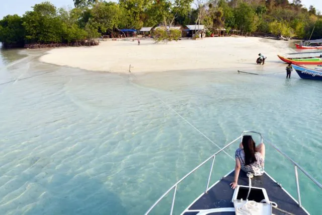 Fenomena Langka yang Luar Biasa, Pantai di AS Ini Menyala Biru Terang. Di Indonesia Juga Pernah Ada 23