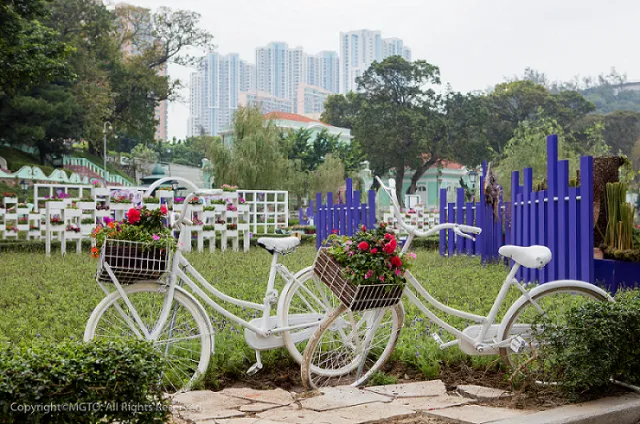 6+ Negara Paling Romantis. Cocok Untuk Destinasi Bulan Madumu Nanti 30