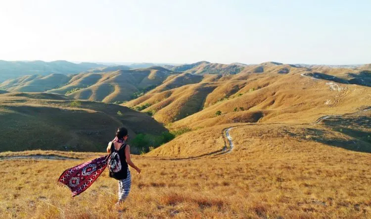 Menikmati Senja di Bukit Wairinding, Surga yang Tertinggal di Tanah Sumba yang Bikin Merinding! 6