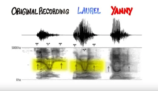 Pakar Suara Ungkap Fakta di Balik Yanny vs Laurel. Kamu yang Masih Sibuk Debat, Baca Dulu Nih! 6