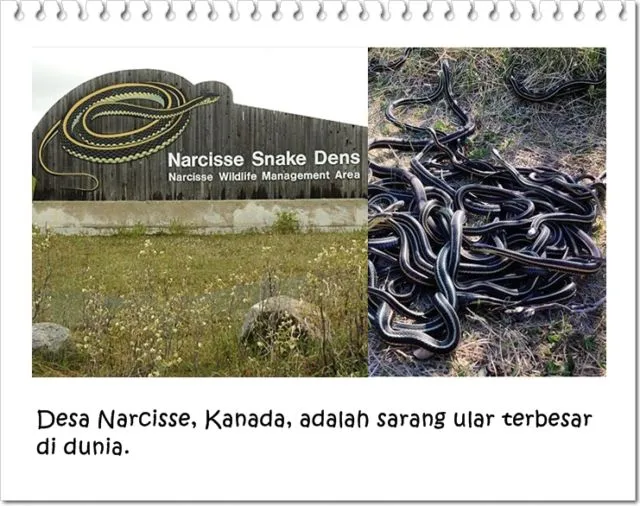 10 Desa Terunik di Dunia. Dari yang Dihuni Boneka, Penuh Ular, Sampai Khusus Buat Cewek Doang! 18