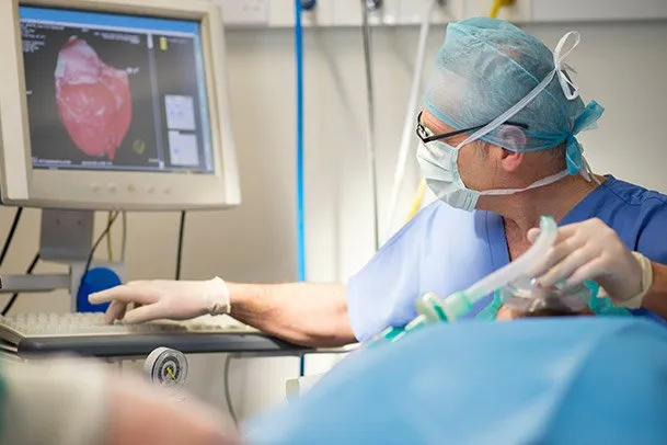 9+ Gelar Dokter Spesialis dan Penyakit yang Bisa Diatasi. Simak Biar Kamu Nggak Salah Dokter Lagi 14