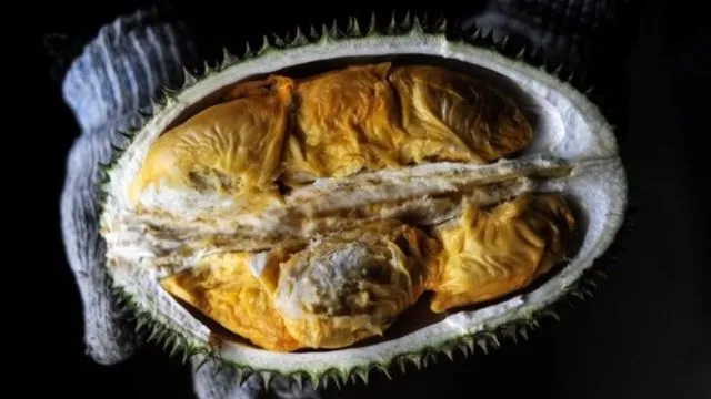 Ratusan Orang di Australia Dievakuasi Cuma Gara-gara Bau Durian! Udah Kayak Mau Ada Bom Aja Lho... 6