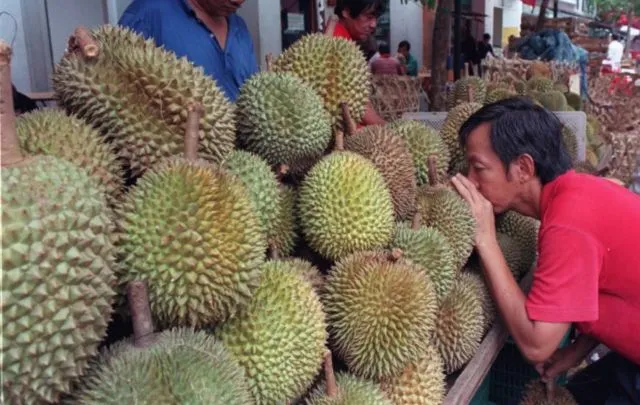 Ratusan Orang di Australia Dievakuasi Cuma Gara-gara Bau Durian! Udah Kayak Mau Ada Bom Aja Lho... 10