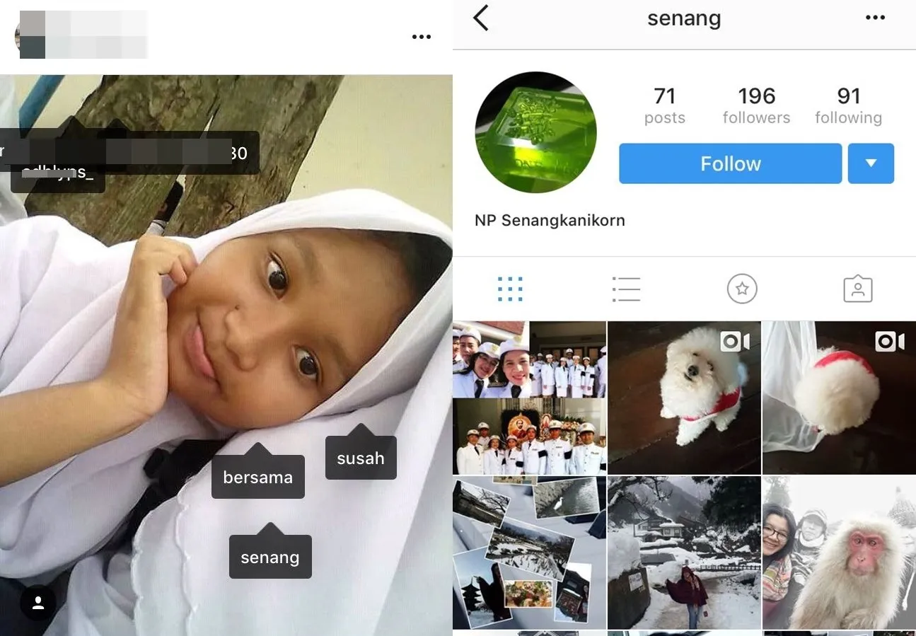 Pasti Kamu Pernah Nge-tag 13 Akun ini di Instagram Tanpa Alasan. Pemiliknya Sampai Bingung Loh! 15