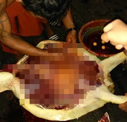 Seakan-akan Bangga Sudah Bantai dan Masak Penyu, Postingan Ini Bikin Warganet Geram Tak Habis Pikir 8