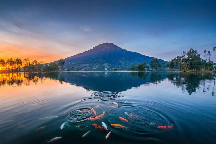 Embung Kledung Temanggung, Panorama Alam Pegunungan yang Bikin Serasa Liburan ke Luar Negeri! 5
