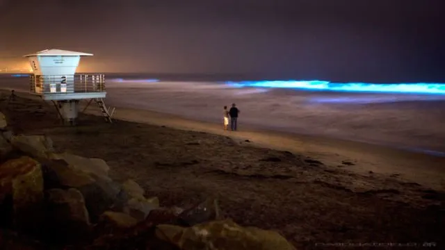 Fenomena Langka yang Luar Biasa, Pantai di AS Ini Menyala Biru Terang. Di Indonesia Juga Pernah Ada 21