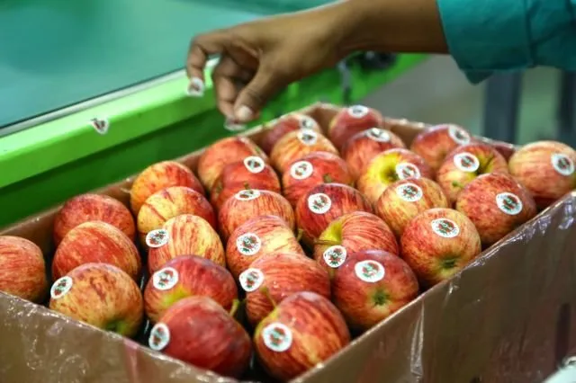 Stiker yang Nempel di Buah Impor Bukan Hiasan Doang. Biar Jadi Konsumen Pintar, Yuk Cari Tahu Artinya! 13