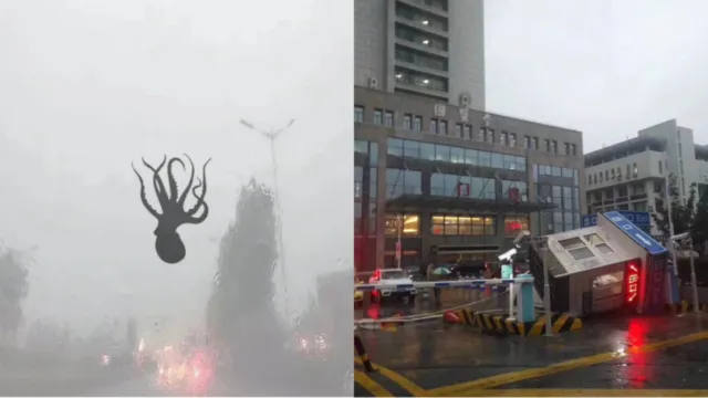 Hujan Aneh Terjadi di Cina, Berbagai Hewan Laut Jatuh dari Langit. Ini Penjelasan Paling Logisnya 3