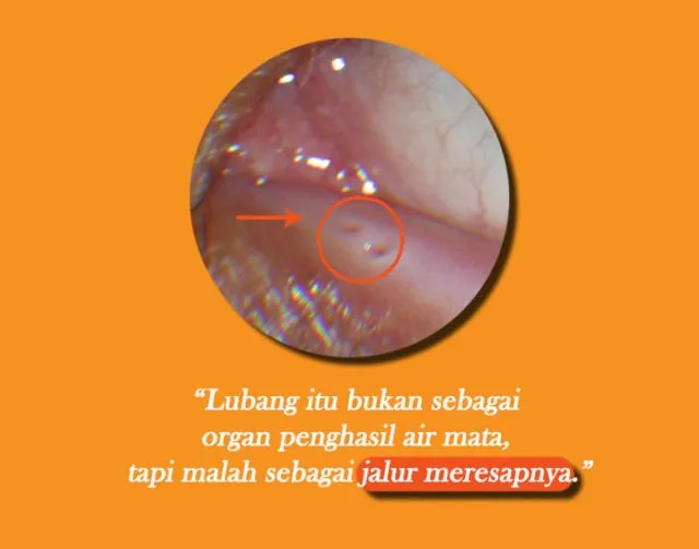 Banyak Orang Nggak Sadar Kalau Lubang di 12 Benda Ini Bukan Hiasan Doang. Ada Fungsinya Lho! 22