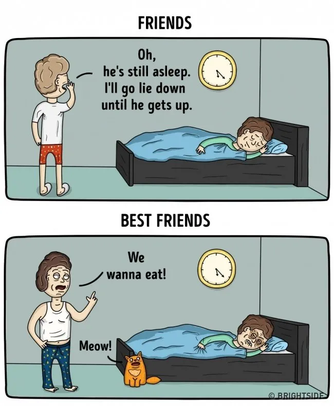 11 Ilustrasi Perbedaan antara Teman dan Sahabat dalam Kehidupan Sehari-Hari. Bener Banget Nggak sih? 21