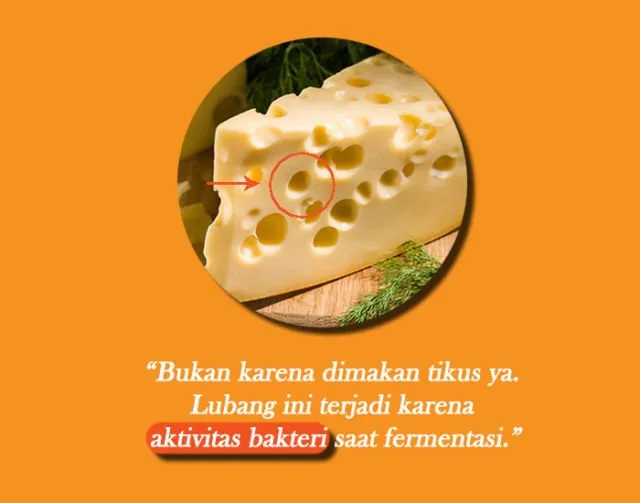 Banyak Orang Nggak Sadar Kalau Lubang di 12 Benda Ini Bukan Hiasan Doang. Ada Fungsinya Lho! 14