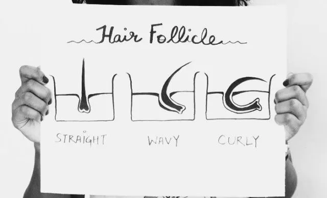 10+ Fakta Soal Rambut Afro yang Perlu Kamu Ketahui. Banyak yang Masih Penasaran Deh Kayaknya 14