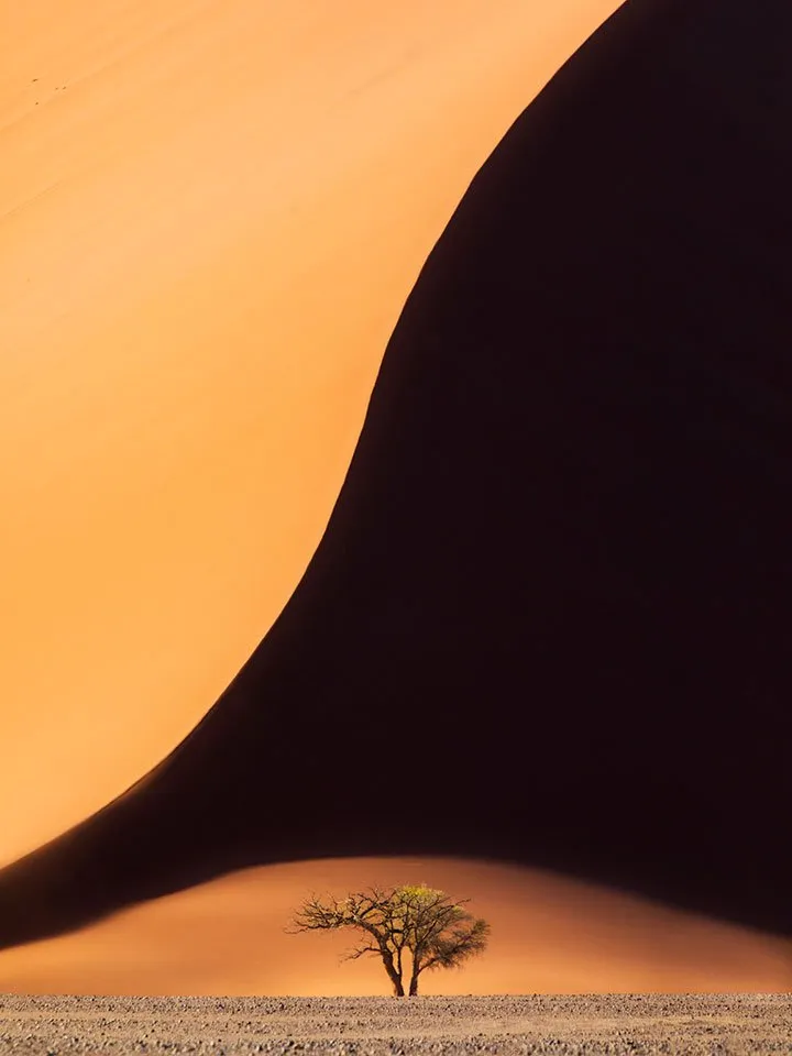 Inilah 12 Foto Pemenang The Nature Conservacy yang Kualitasnya Juara. Belajarlah dari Karya Mereka! 22