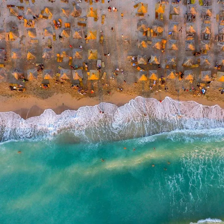 Inilah 12 Foto Pemenang The Nature Conservacy yang Kualitasnya Juara. Belajarlah dari Karya Mereka! 21