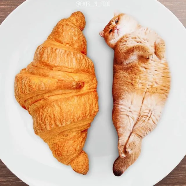 Coba Perhatikan Baik-Baik 11 Foto Makanan ini. Ada yang Janggal Tapi Menggemaskan Nggak sih? 12