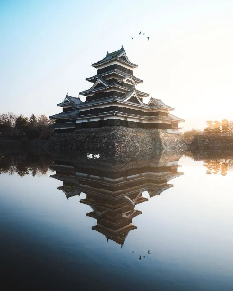 Banyak Selebgram Mengedit Foto dengan Menambah Gambar Burung. Biar Keliatan Keren Kali ya? 6