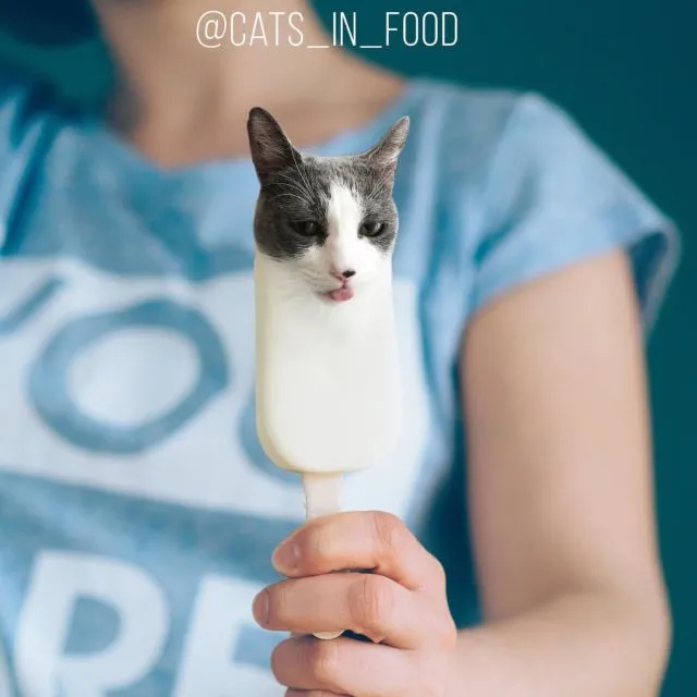 Coba Perhatikan Baik-Baik 11 Foto Makanan ini. Ada yang Janggal Tapi Menggemaskan Nggak sih? 22