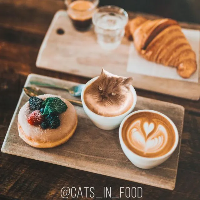 Coba Perhatikan Baik-Baik 11 Foto Makanan ini. Ada yang Janggal Tapi Menggemaskan Nggak sih? 21