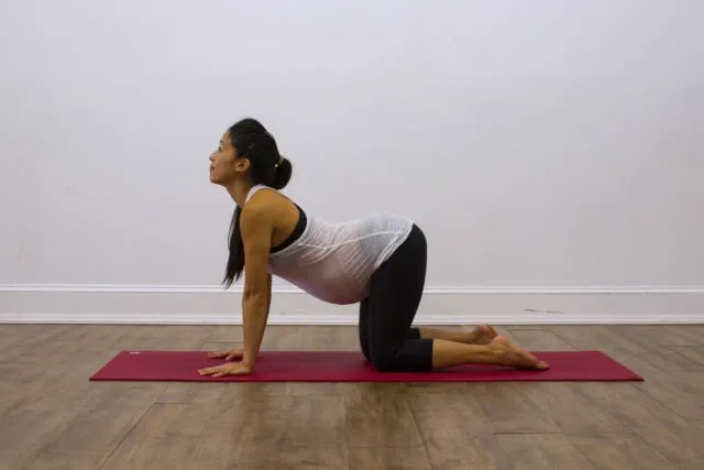 6 Pose Yoga untuk Atasi Bayi Sungsang. Demi Lancarnya Kelahiran Normal Alih-alih Caesar 7