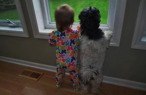 20+ Potret Kedekatan Bayi dengan Hewan Peliharaan. Inikah yang Dinamakan Cuteness Overload? 24